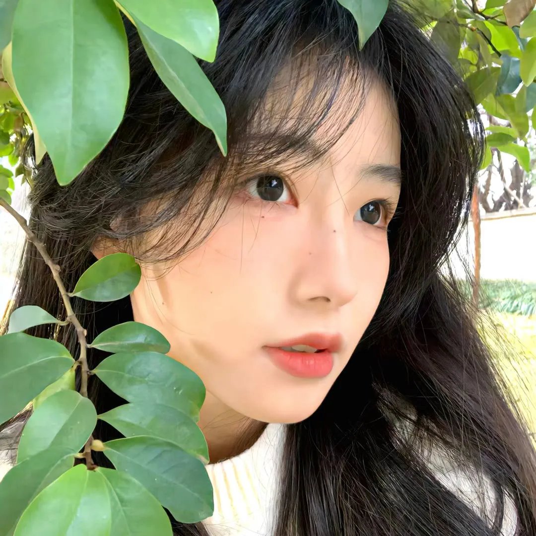 加菲猫国语